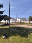 ΚΑΛΟΓΡΙΕΣ