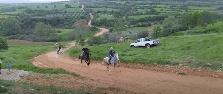 Στιγμιότυπο οθόνης 2025-05-03 173858