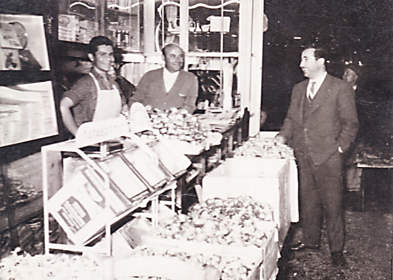 Κουτσούρας Δ 6 α